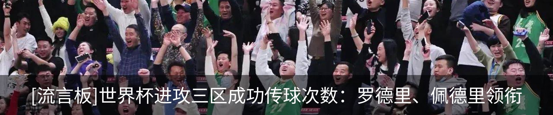 新闻动态